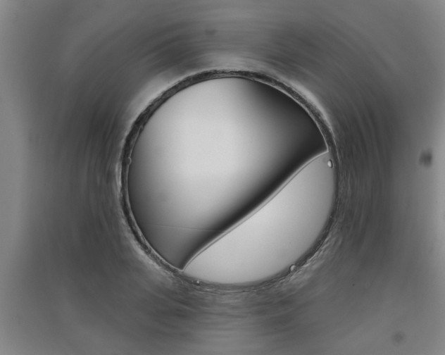 X0000091510935200708170946