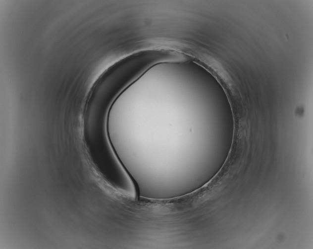 X0000091510936200708170946