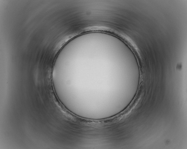 X0000091510937200708170946