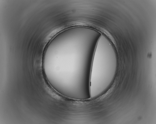 X0000091510938200708170946