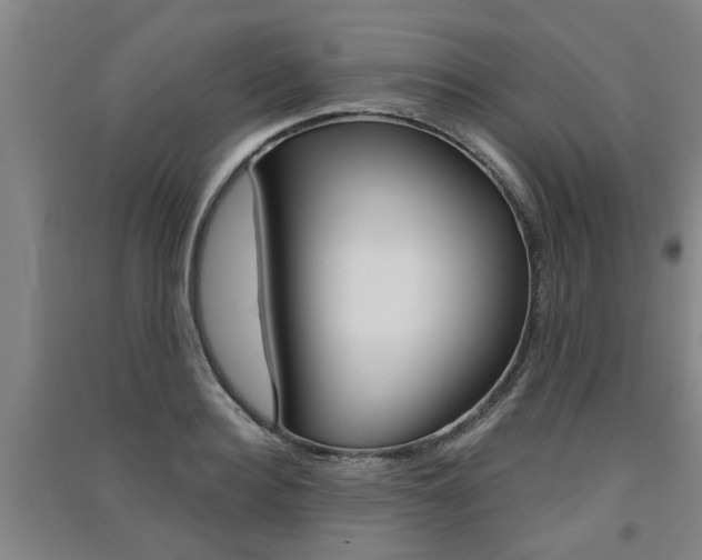 X0000091510940200708170946
