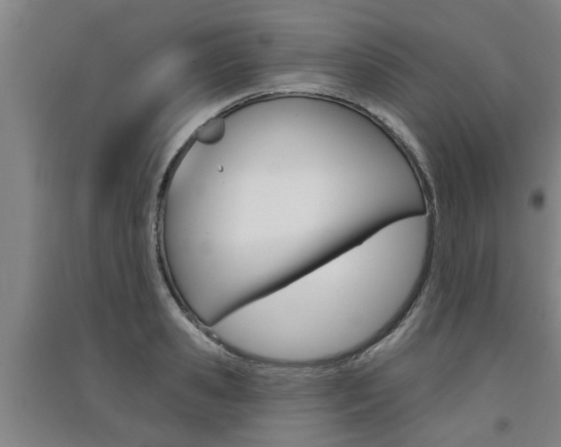 X0000091510941200708170946