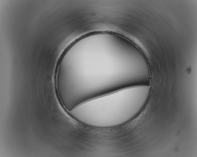 X0000091510943200708170946