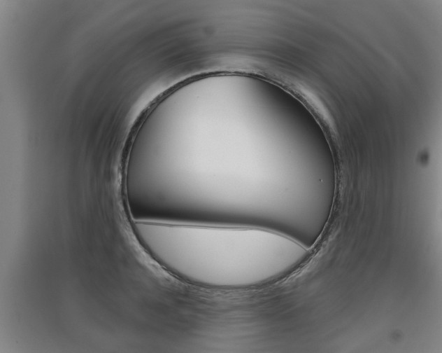 X0000091510944200708170946