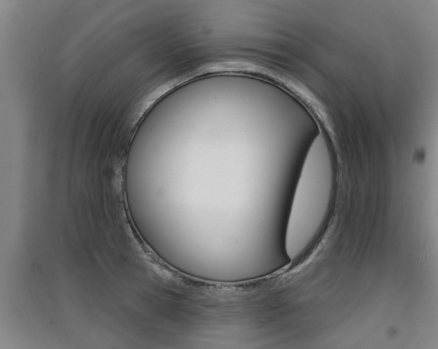 X0000091510945200708170946