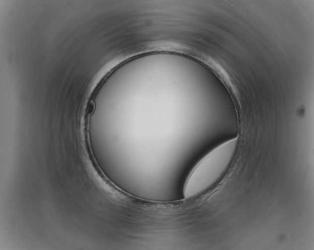 X0000091510947200708170946