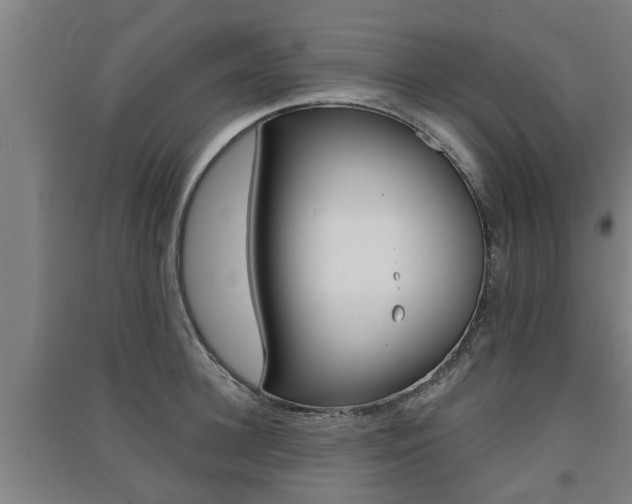 X0000091510948200708170946