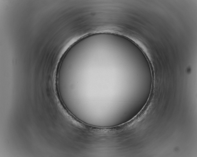 X0000091510949200708170947