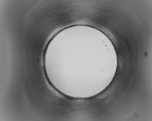 X0000091510950200708170947