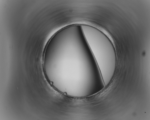 X0000091510951200708170947