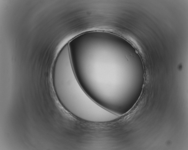 X0000091510952200708170947