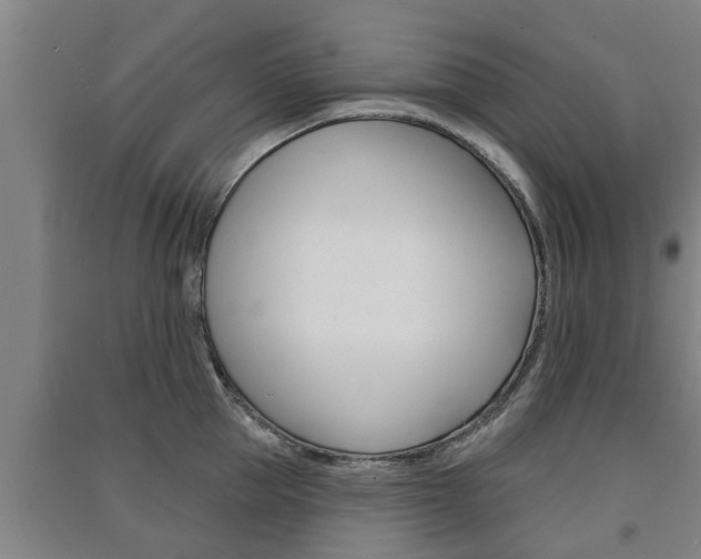 X0000091510953200708170947