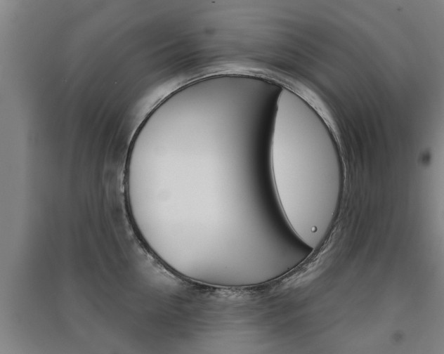 X0000091510954200708170947
