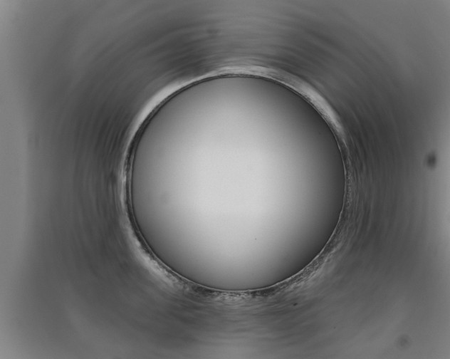 X0000091510955200708170947