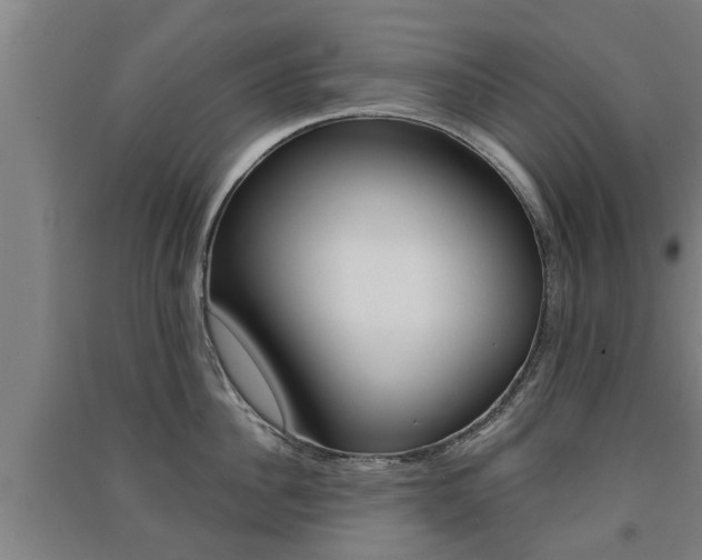 X0000091510956200708170947