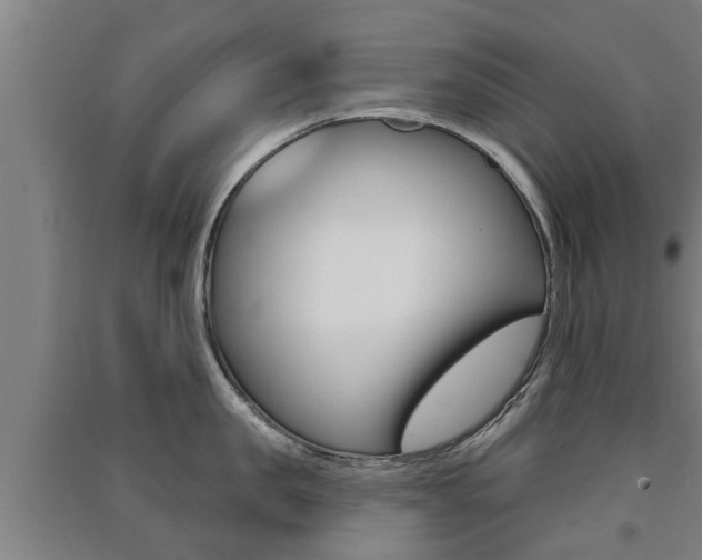 X0000091510957200708170947