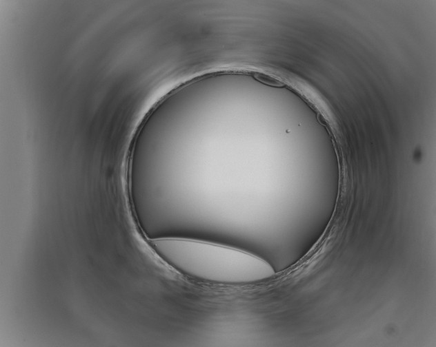 X0000091510958200708170947