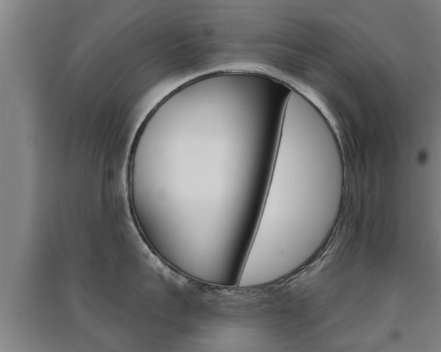 X0000091510959200708170947