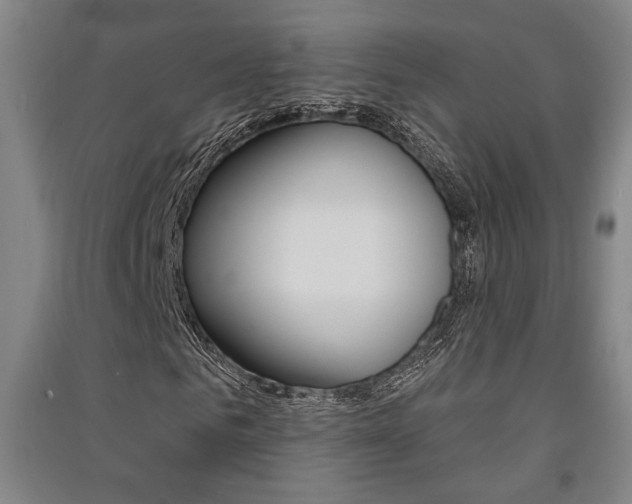 X0000091510961200708170946