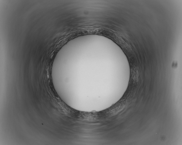 X0000091510962200708170946