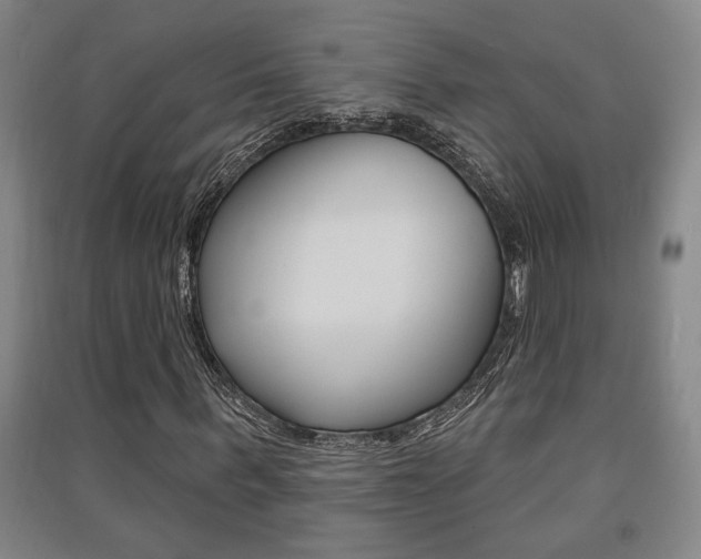 X0000091510963200708170946