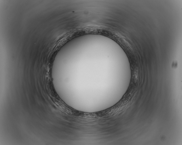 X0000091510964200708170946