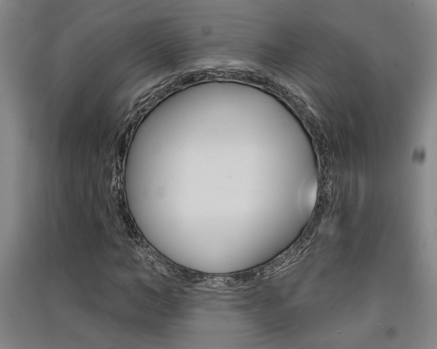X0000091510966200708170946