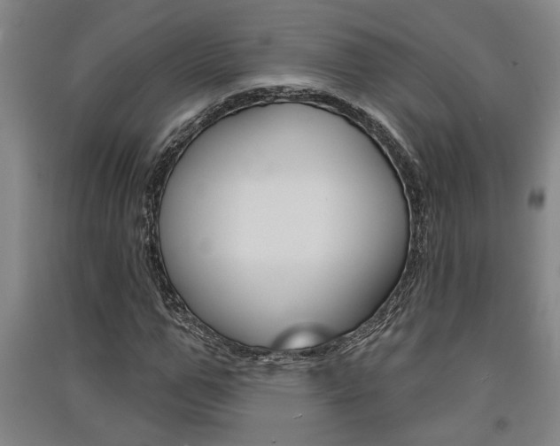 X0000091510967200708170946