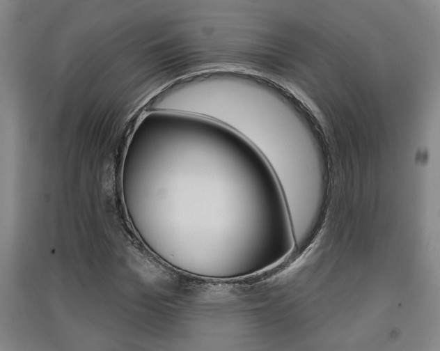 X0000091510969200708170946