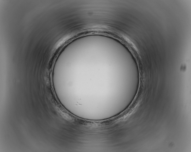 X0000091510970200708170946