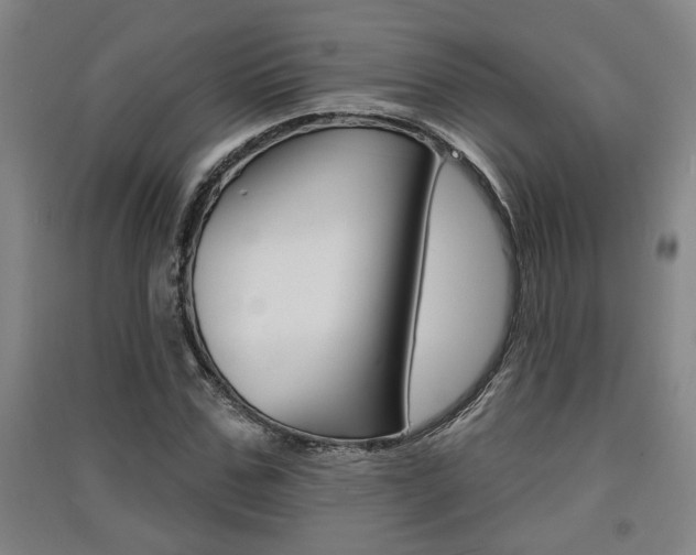 X0000091510971200708170946