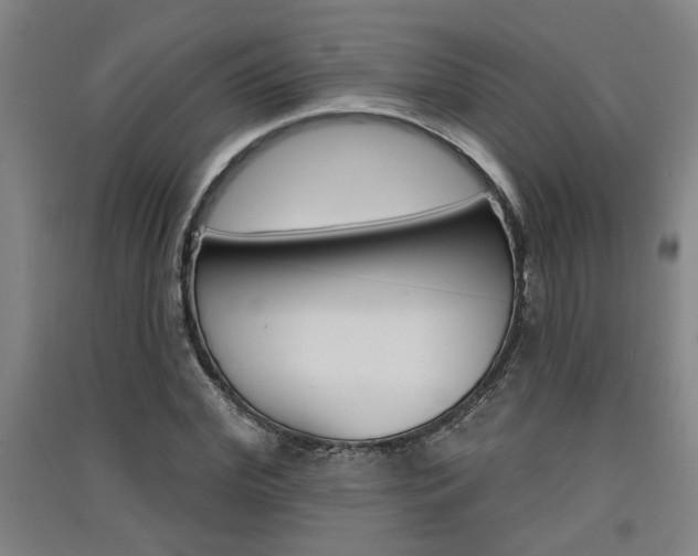X0000091510972200708170946