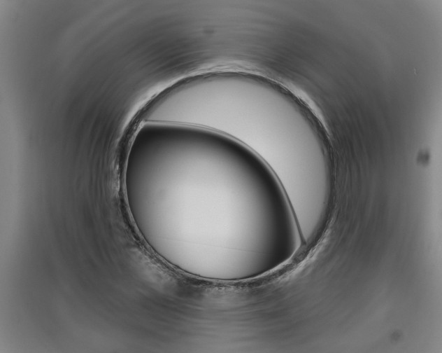 X0000091510973200708170946