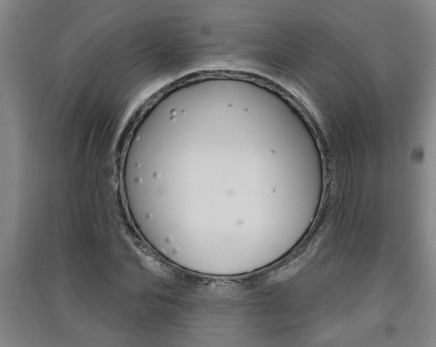 X0000091510974200708170946