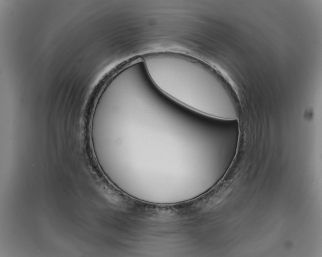 X0000091510975200708170946