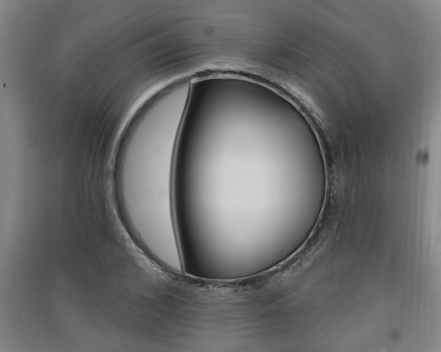 X0000091510976200708170946