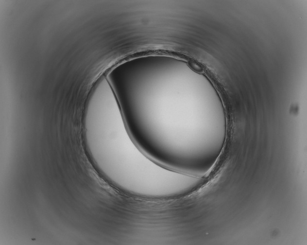 X0000091510977200708170946