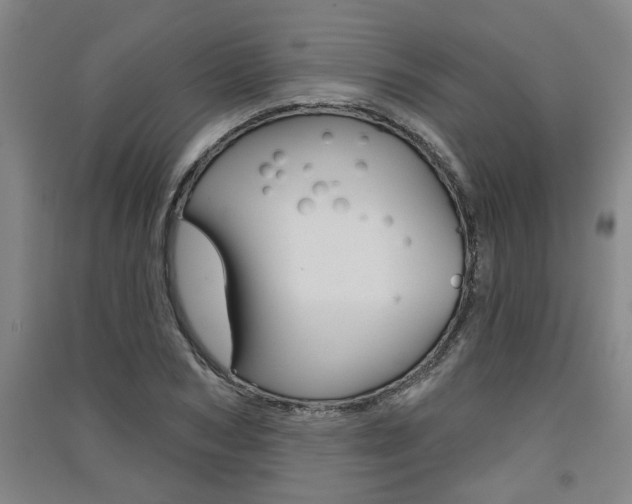 X0000091510978200708170946