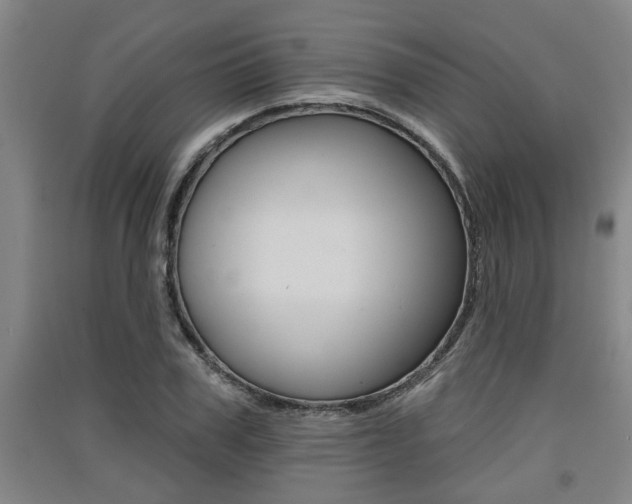 X0000091510979200708170946