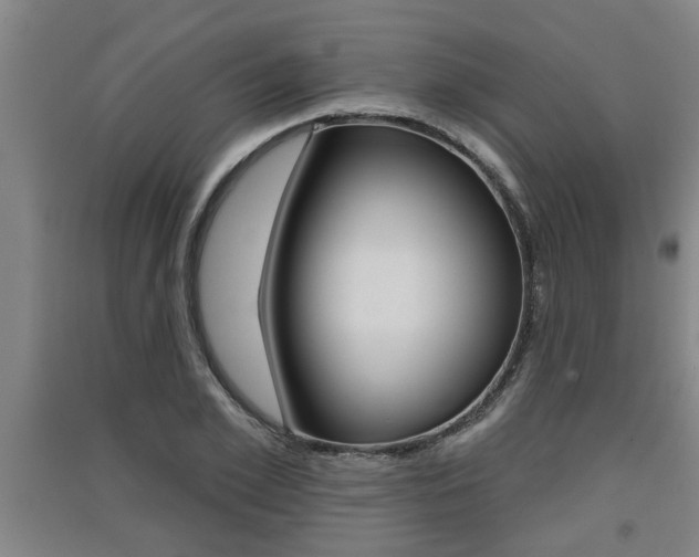 X0000091510981200708170946