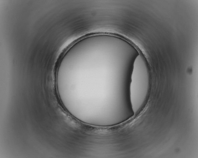 X0000091510982200708170946