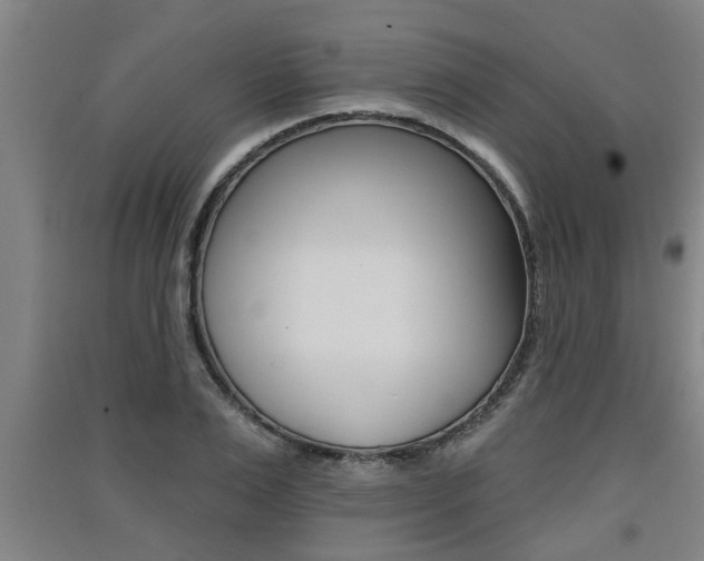 X0000091510983200708170946
