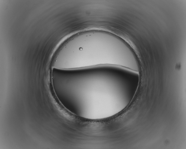 X0000091510984200708170946