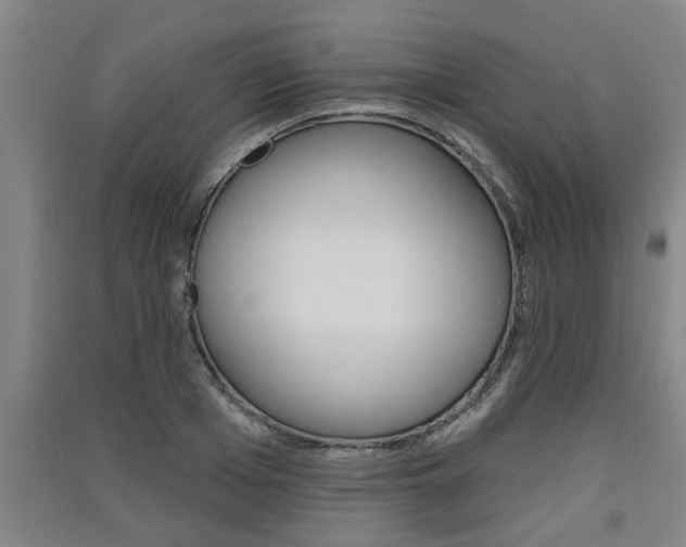 X0000091510985200708170946