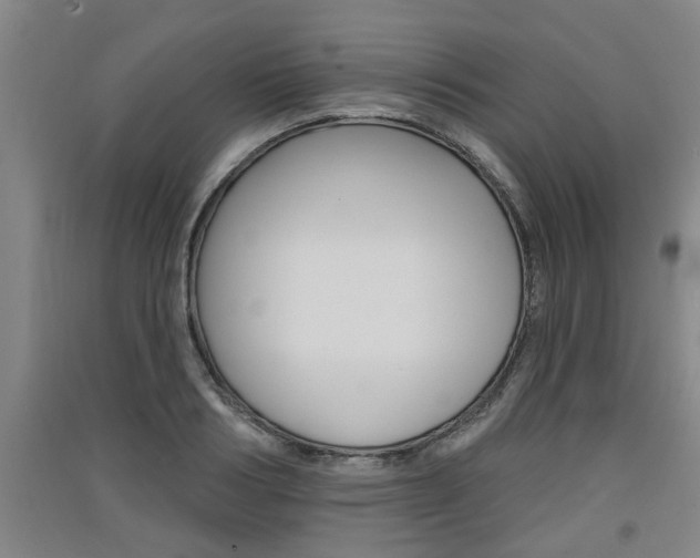 X0000091510986200708170946
