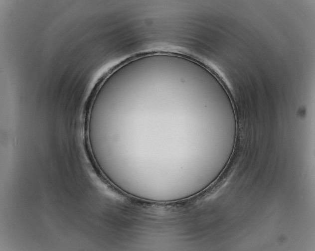 X0000091510987200708170946