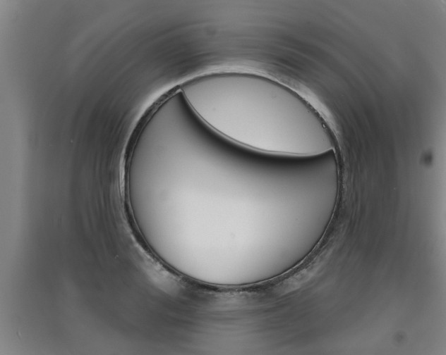 X0000091510988200708170946