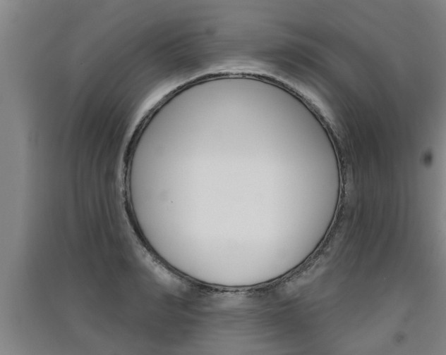 X0000091510990200708170946