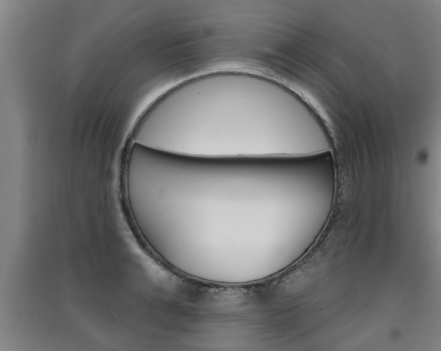X0000091510991200708170946