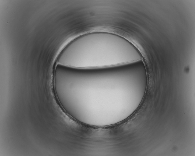 X0000091510992200708170946